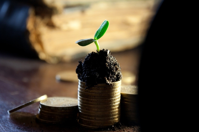 Growing investment: do you have one?